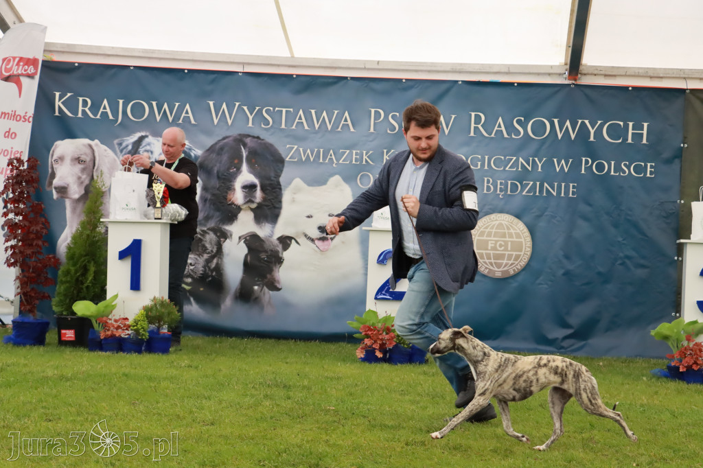 Wystawa Psów Rasowych w GNIAZDOWIE Konkurencje Finałowe