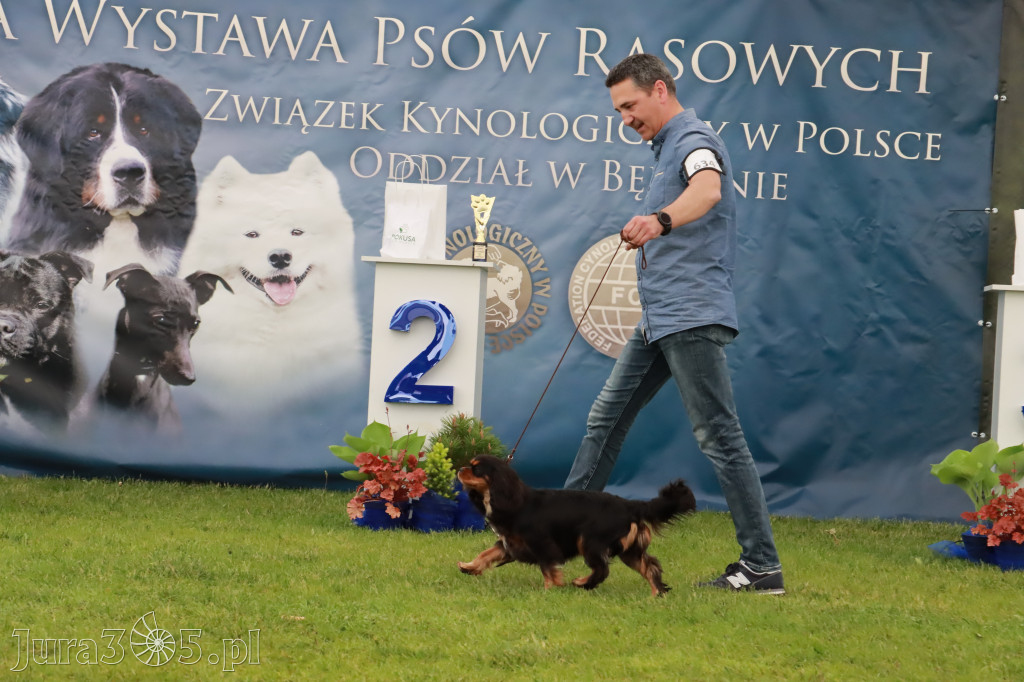 Wystawa Psów Rasowych w GNIAZDOWIE Konkurencje Finałowe