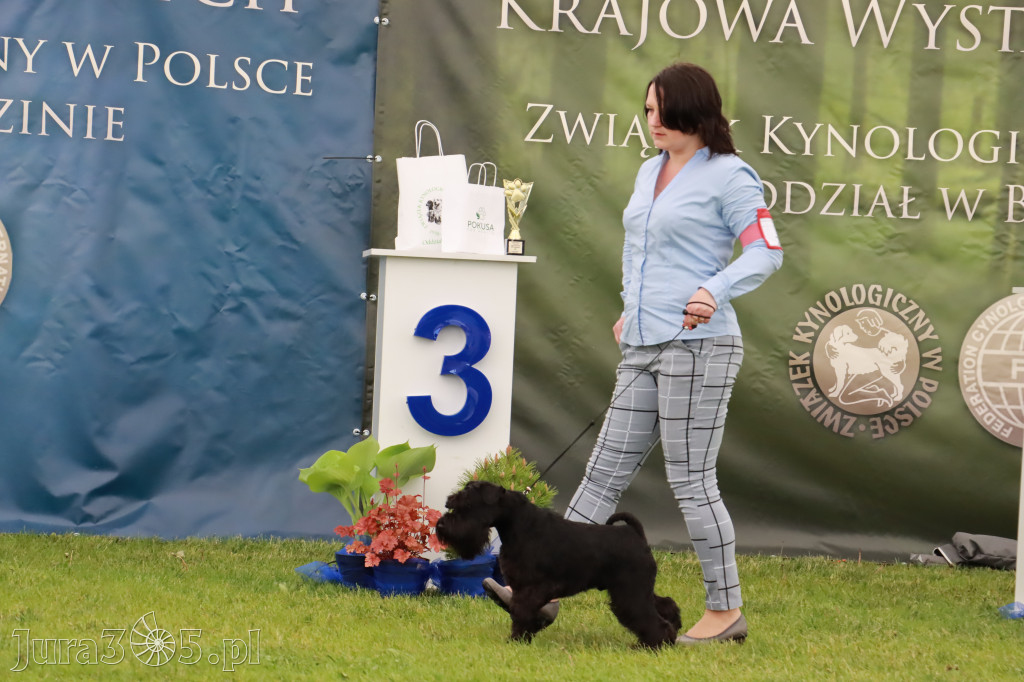 Wystawa Psów Rasowych w GNIAZDOWIE Konkurencje Finałowe