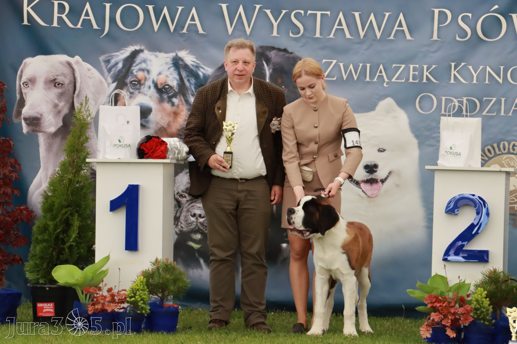 Wystawa Psów Rasowych w GNIAZDOWIE Konkurencje Finałowe