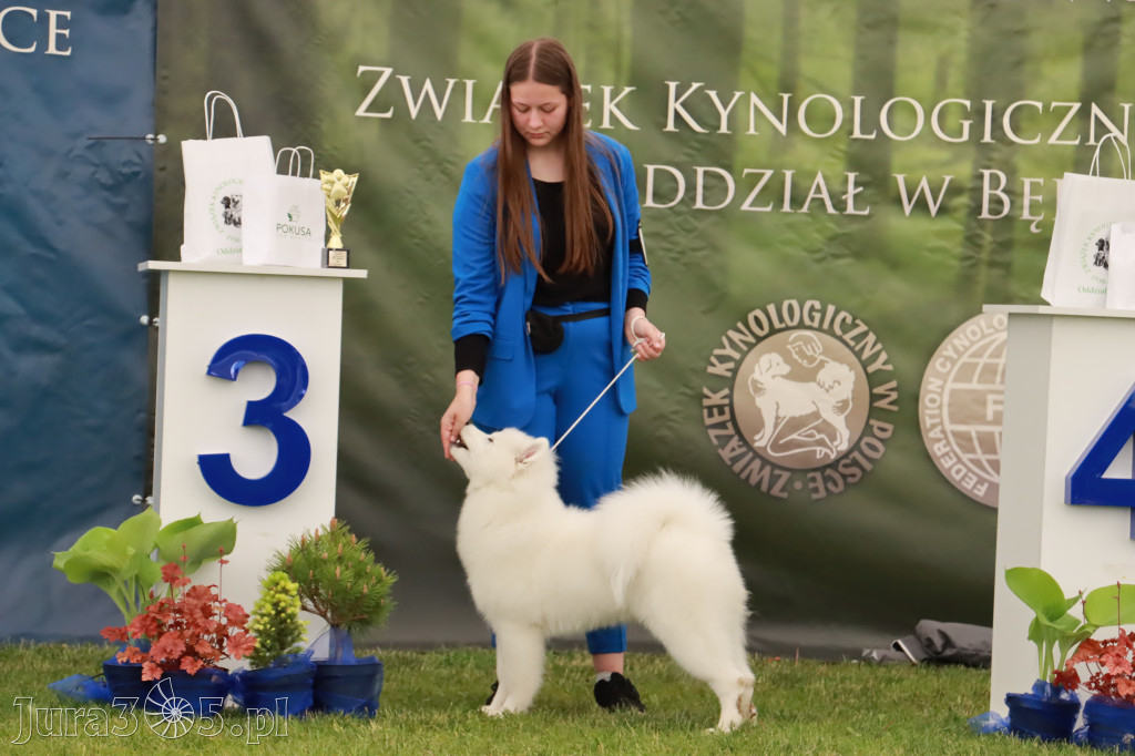 Wystawa Psów Rasowych w GNIAZDOWIE Konkurencje Finałowe