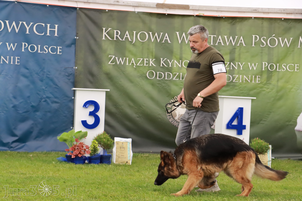 Wystawa Psów Rasowych w GNIAZDOWIE Konkurencje Finałowe