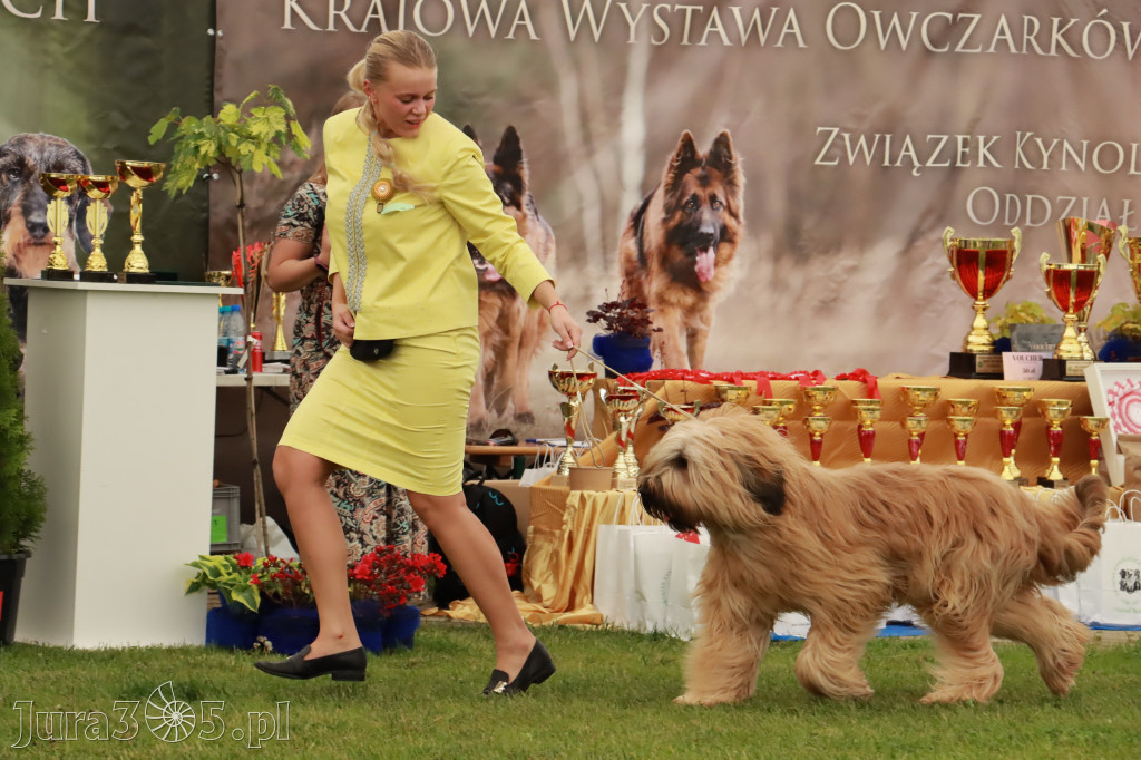 Wystawa Psów Rasowych w GNIAZDOWIE Konkurencje Finałowe