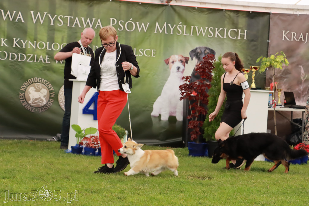 Wystawa Psów Rasowych w GNIAZDOWIE Konkurencje Finałowe