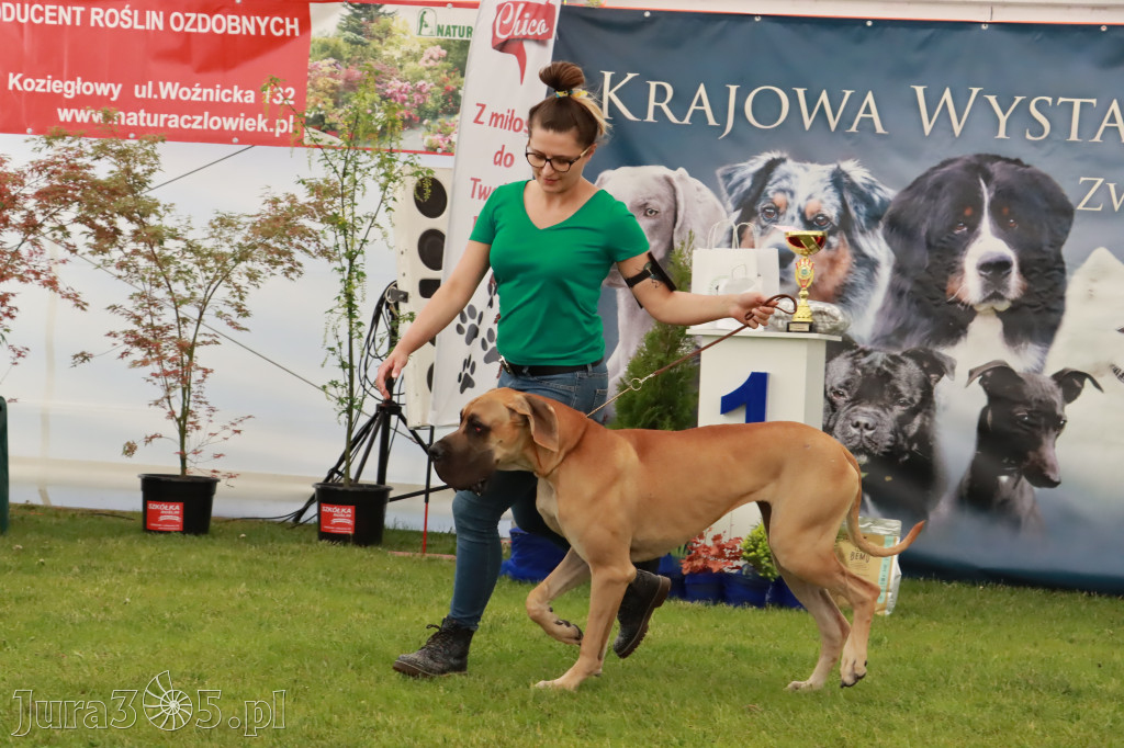 Wystawa Psów Rasowych w GNIAZDOWIE Konkurencje Finałowe
