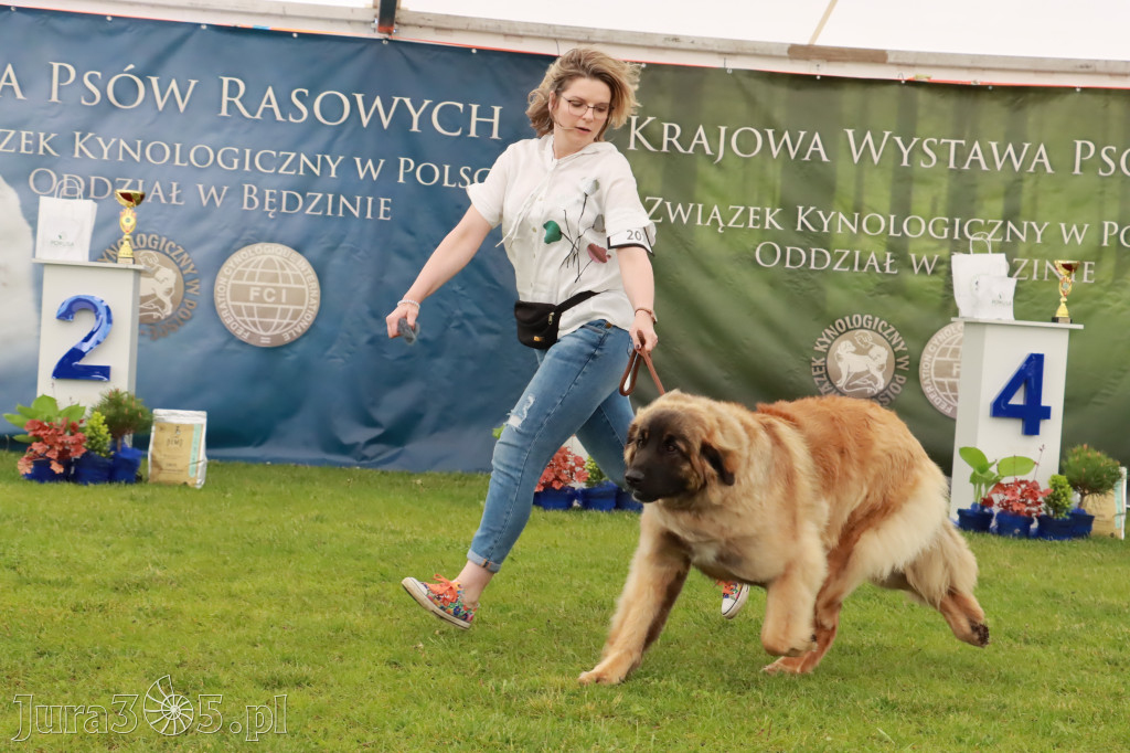 Wystawa Psów Rasowych w GNIAZDOWIE Konkurencje Finałowe