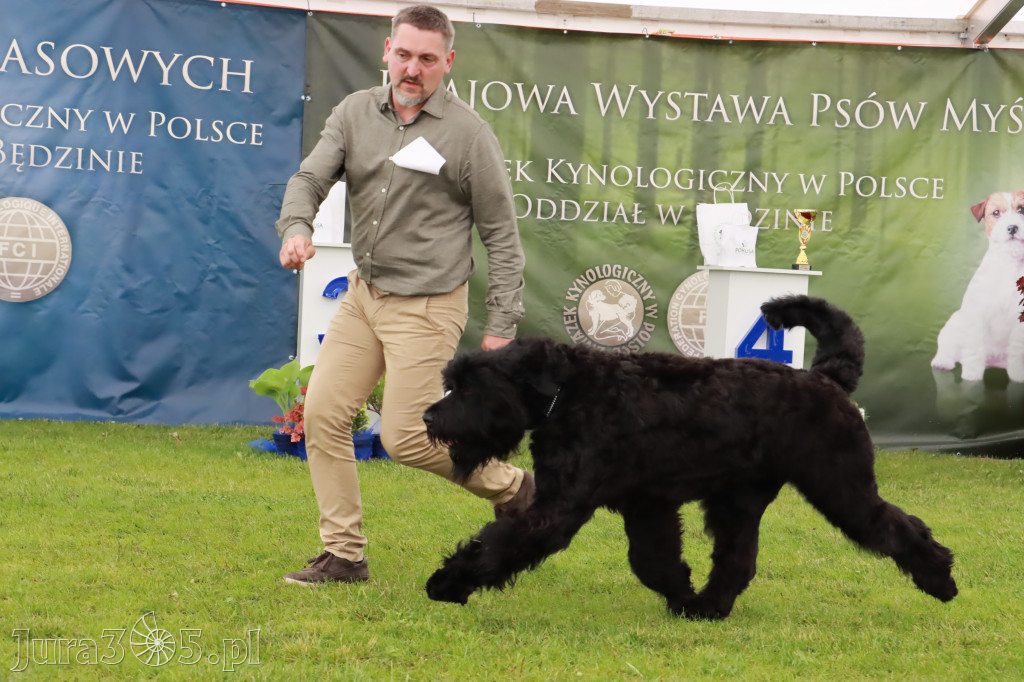 Wystawa Psów Rasowych w GNIAZDOWIE Konkurencje Finałowe