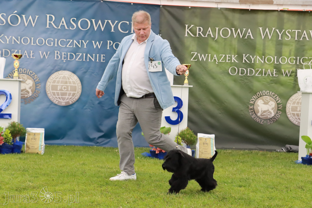 Wystawa Psów Rasowych w GNIAZDOWIE Konkurencje Finałowe
