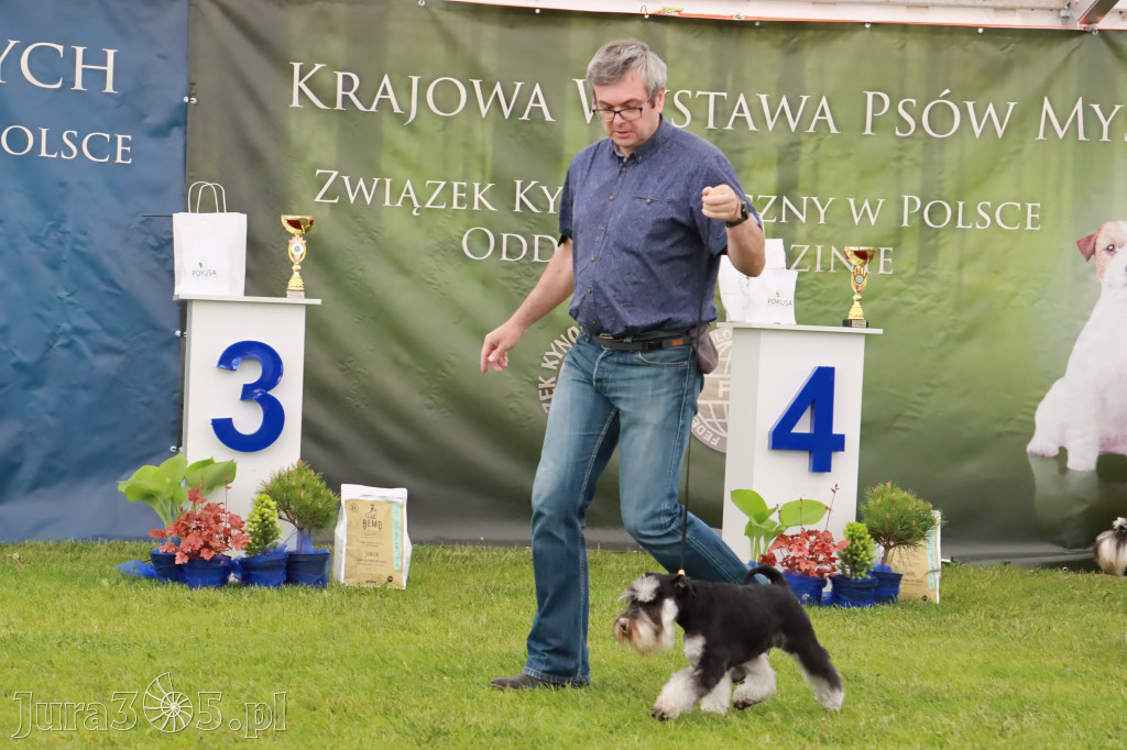 Wystawa Psów Rasowych w GNIAZDOWIE Konkurencje Finałowe