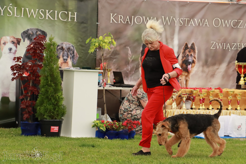 Wystawa Psów Rasowych w GNIAZDOWIE Konkurencje Finałowe
