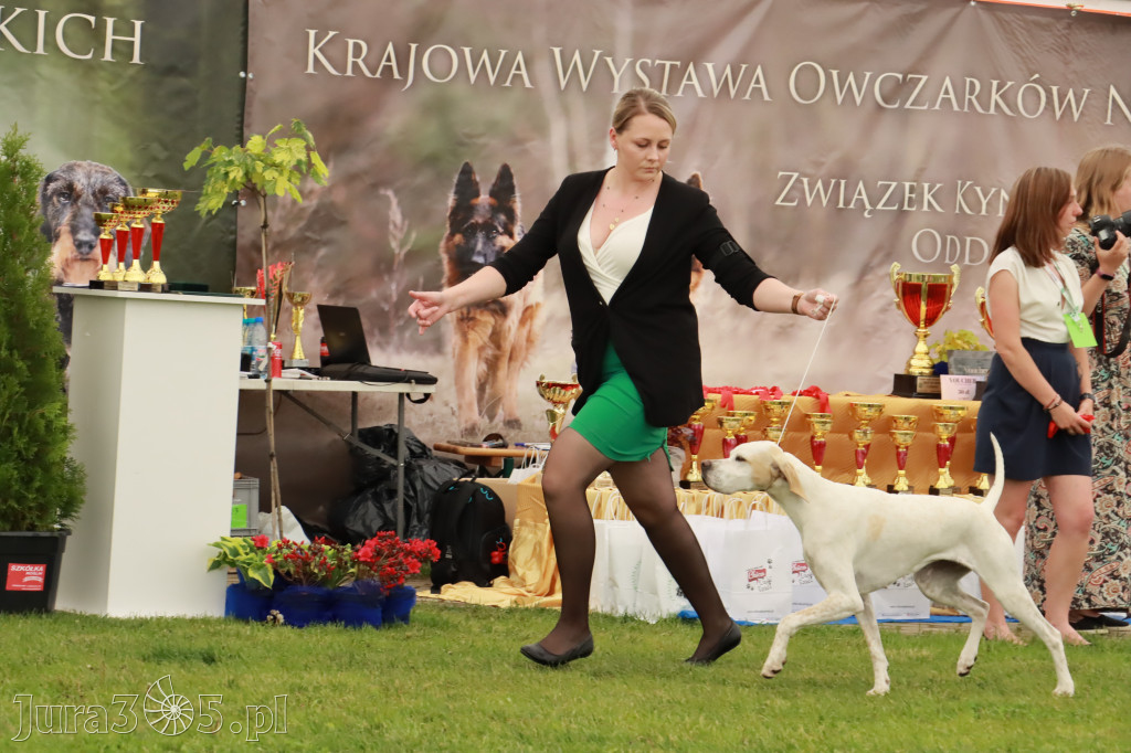 Wystawa Psów Rasowych w GNIAZDOWIE Konkurencje Finałowe