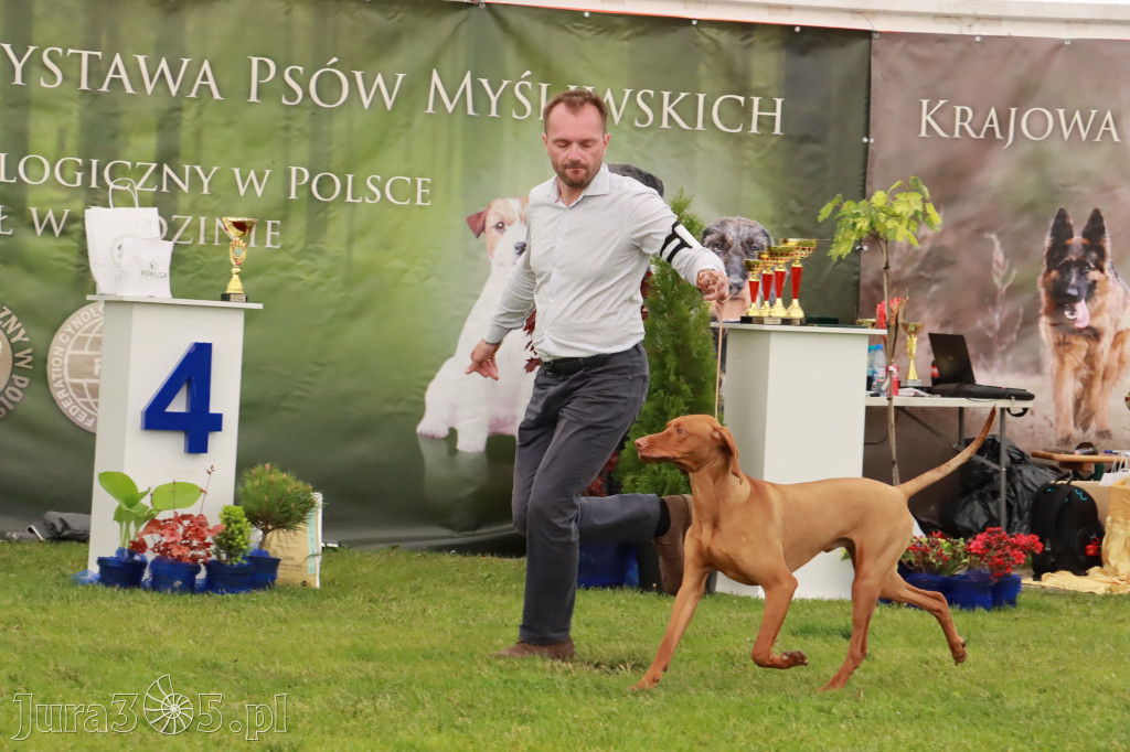 Wystawa Psów Rasowych w GNIAZDOWIE Konkurencje Finałowe