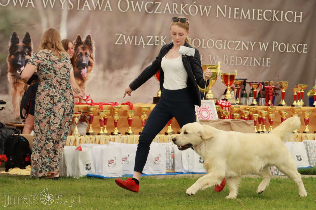 Wystawa Psów Rasowych w GNIAZDOWIE Konkurencje Finałowe