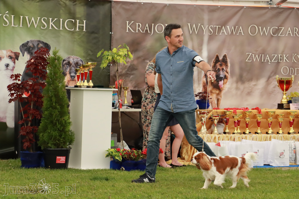 Wystawa Psów Rasowych w GNIAZDOWIE Konkurencje Finałowe