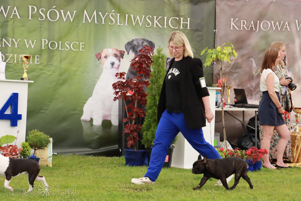 Wystawa Psów Rasowych w GNIAZDOWIE Konkurencje Finałowe