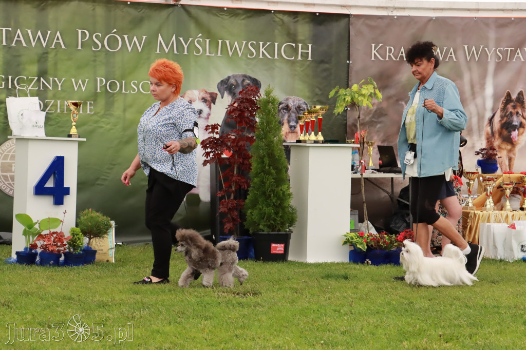 Wystawa Psów Rasowych w GNIAZDOWIE Konkurencje Finałowe