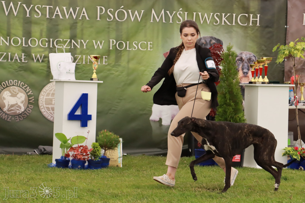 Wystawa Psów Rasowych w GNIAZDOWIE Konkurencje Finałowe