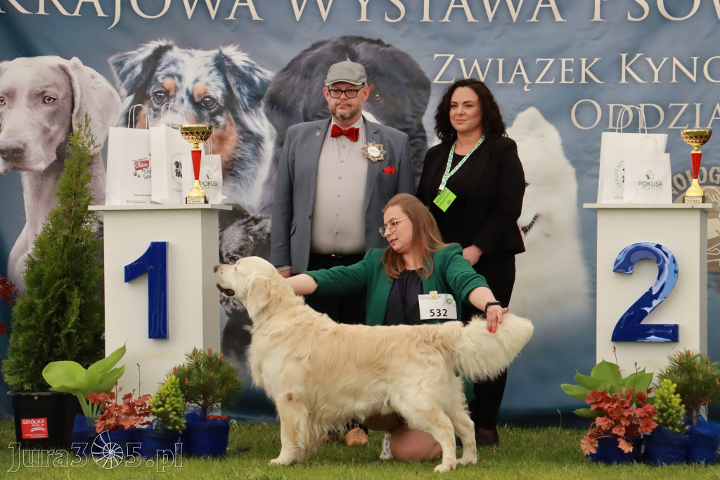 Wystawa Psów Rasowych w GNIAZDOWIE Konkurencje Finałowe