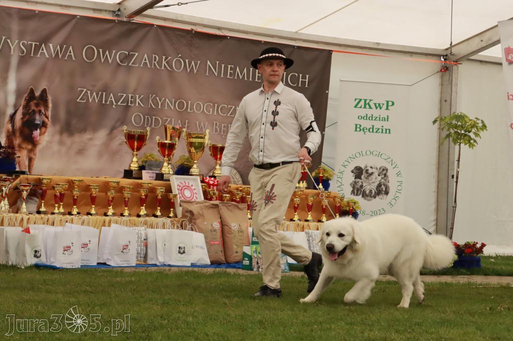 Wystawa Psów Rasowych w GNIAZDOWIE Konkurencje Finałowe