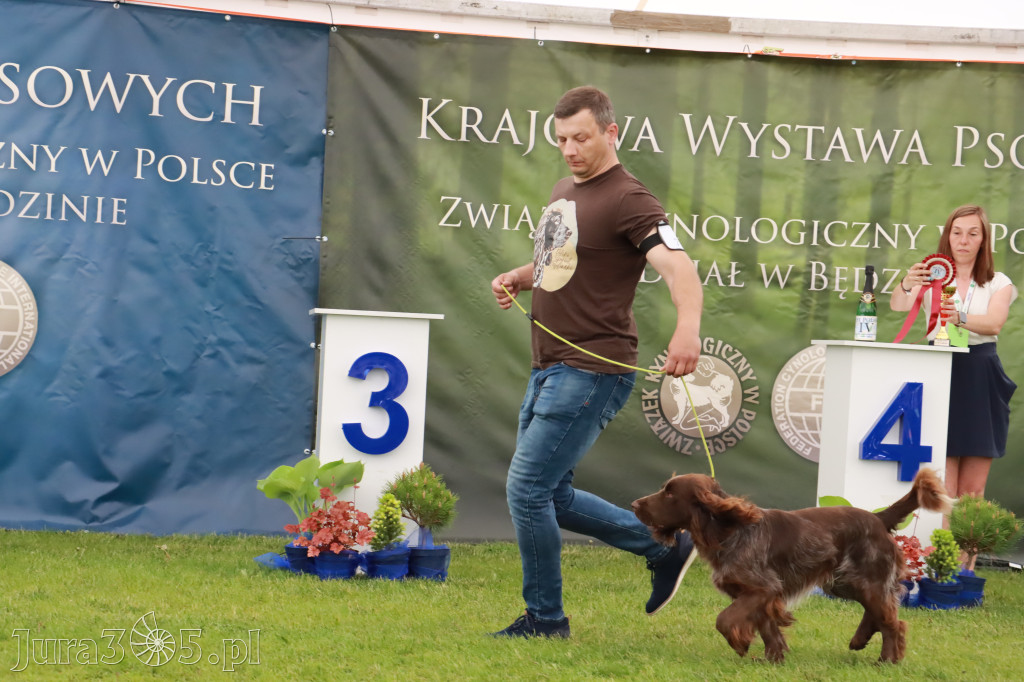 Wystawa Psów Rasowych w GNIAZDOWIE Konkurencje Finałowe