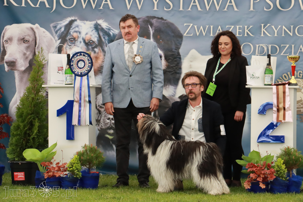 Wystawa Psów Rasowych w GNIAZDOWIE Konkurencje Finałowe