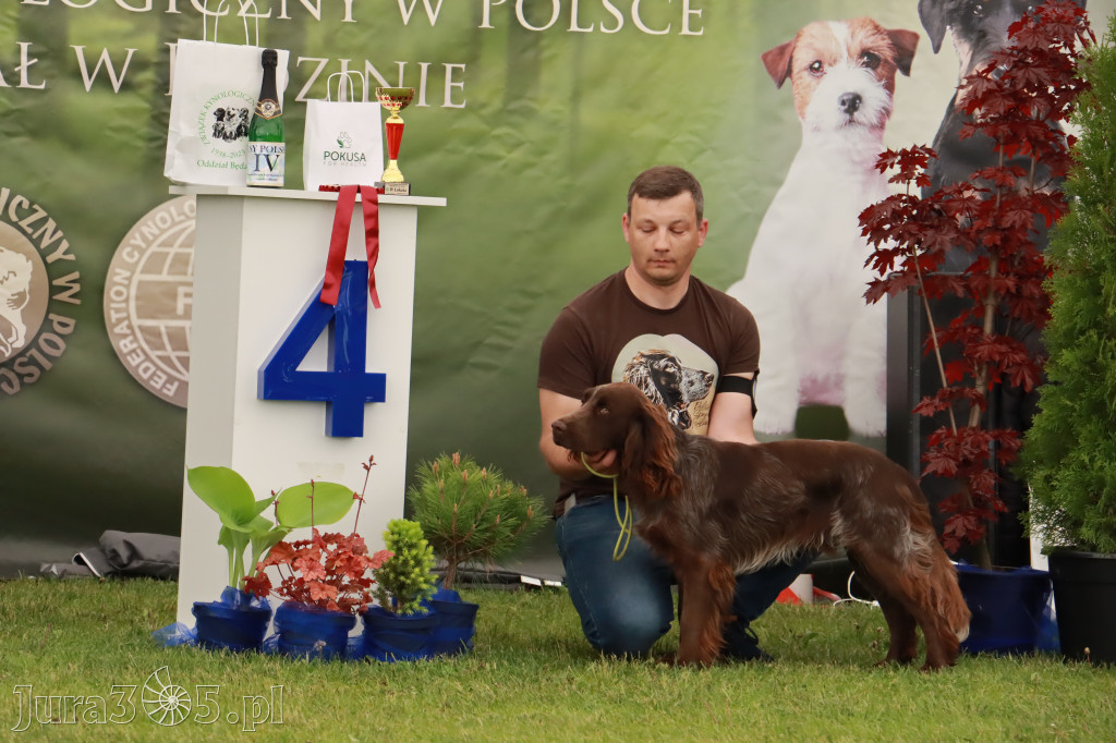 Wystawa Psów Rasowych w GNIAZDOWIE Konkurencje Finałowe