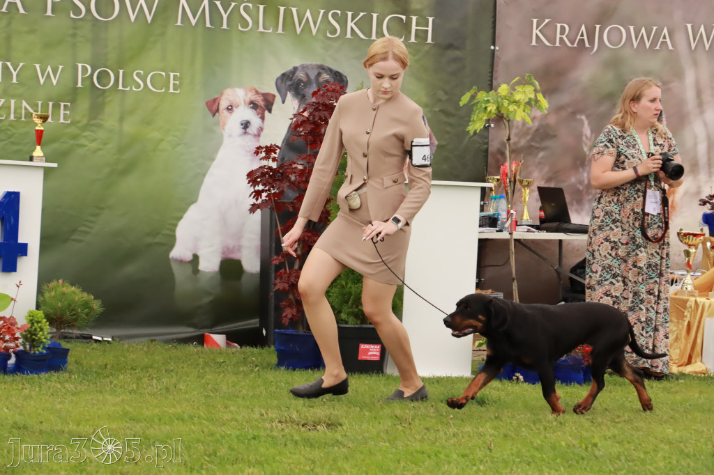 Wystawa Psów Rasowych w GNIAZDOWIE Konkurencje Finałowe