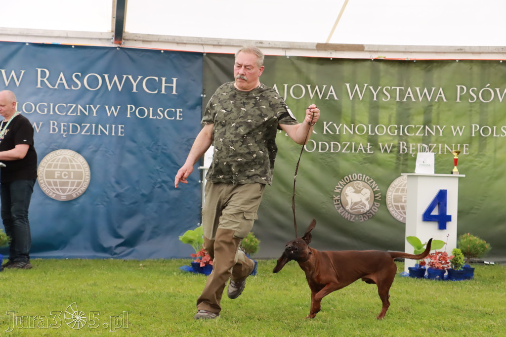 Wystawa Psów Rasowych w GNIAZDOWIE Konkurencje Finałowe