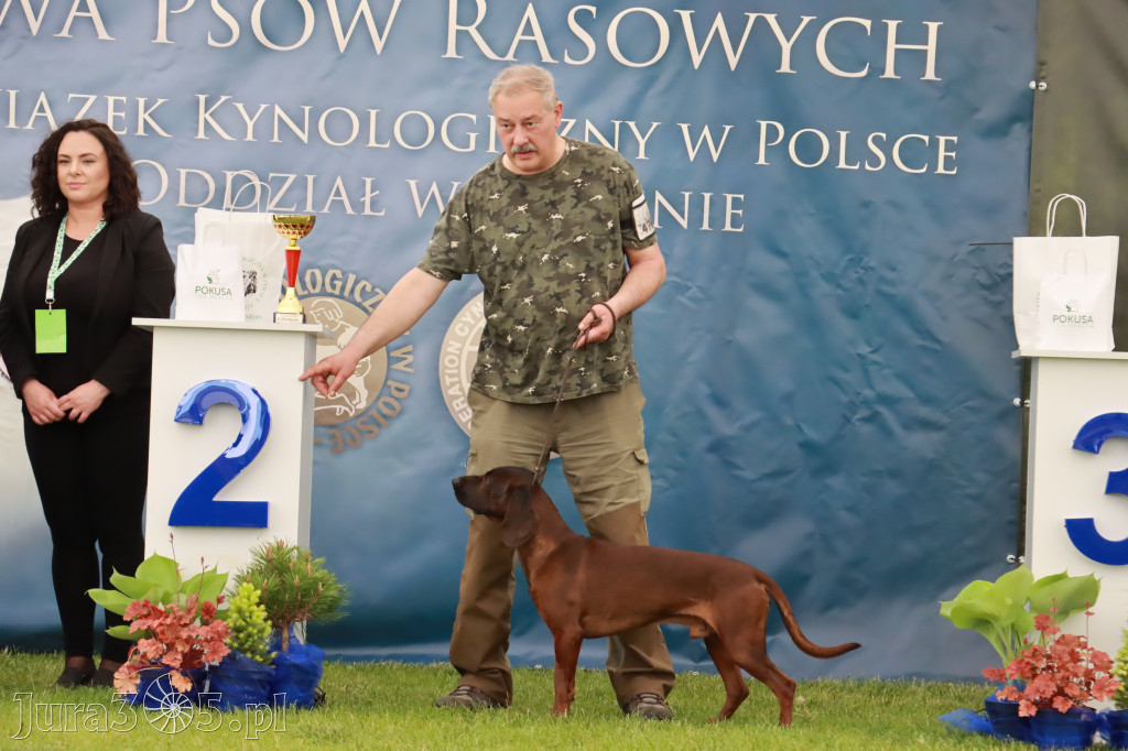 Wystawa Psów Rasowych w GNIAZDOWIE Konkurencje Finałowe