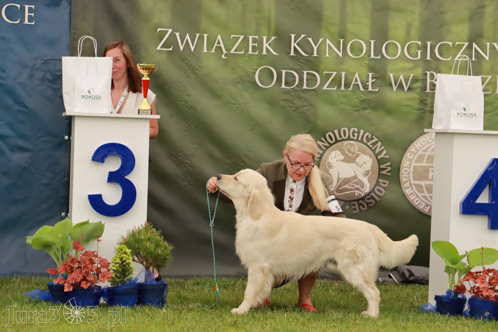 Wystawa Psów Rasowych w GNIAZDOWIE Konkurencje Finałowe