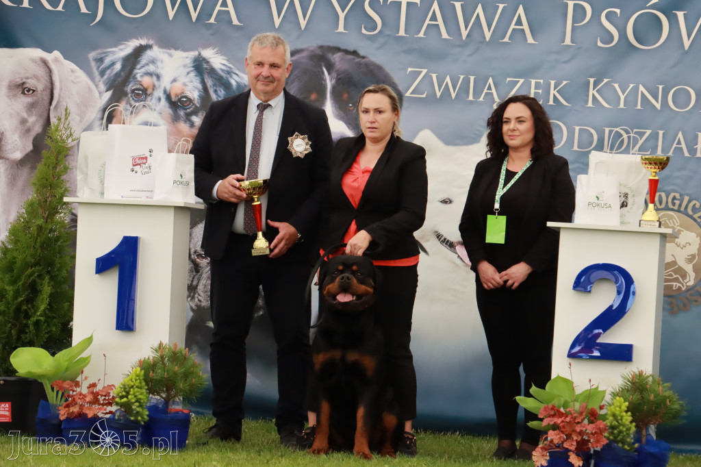 Wystawa Psów Rasowych w GNIAZDOWIE Konkurencje Finałowe