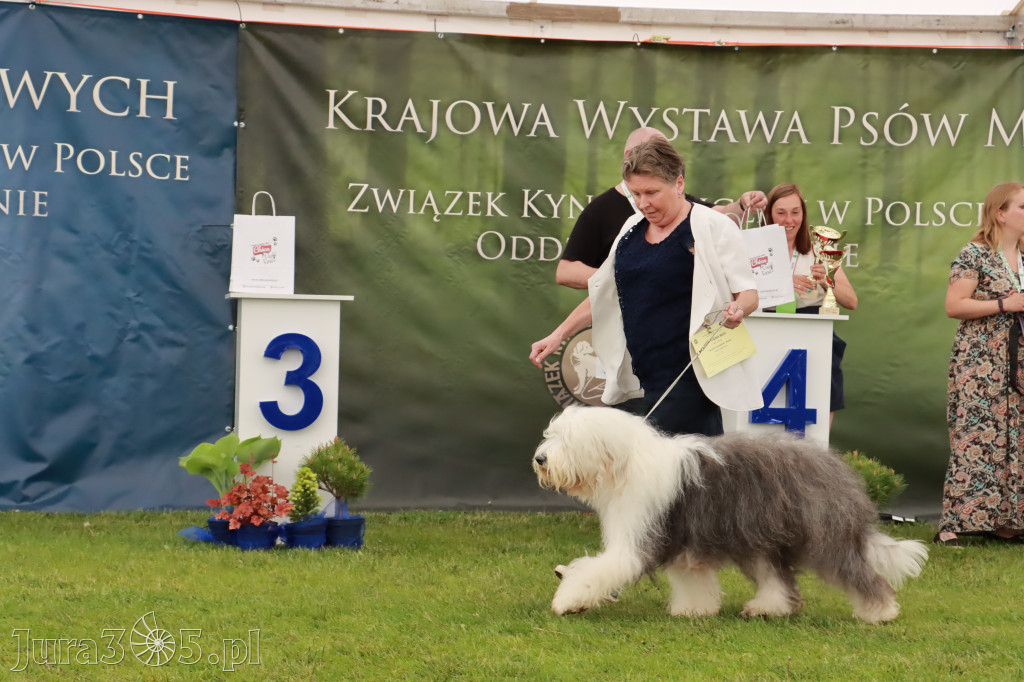 Wystawa Psów Rasowych w GNIAZDOWIE Konkurencje Finałowe