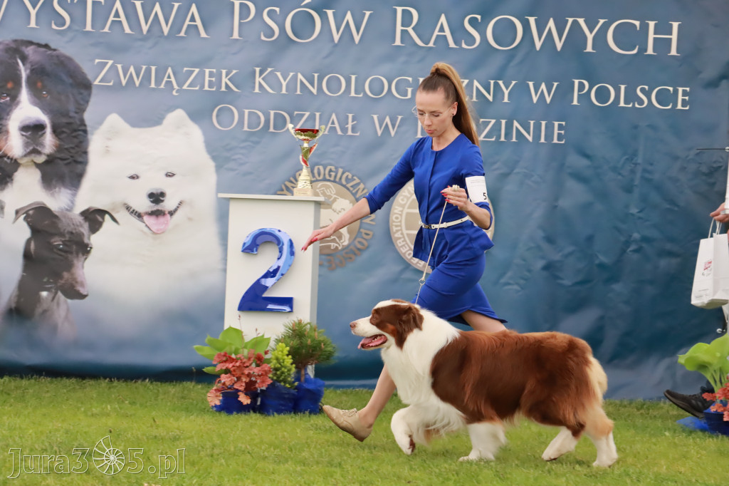 Wystawa Psów Rasowych w GNIAZDOWIE Konkurencje Finałowe