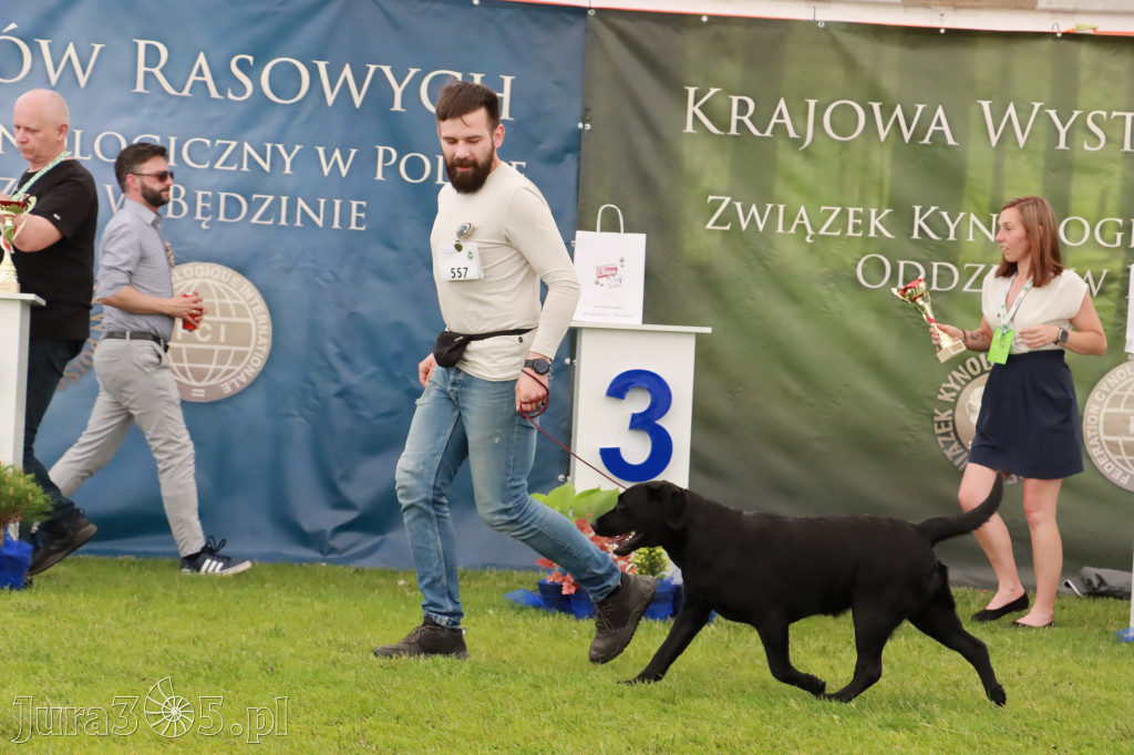 Wystawa Psów Rasowych w GNIAZDOWIE Konkurencje Finałowe