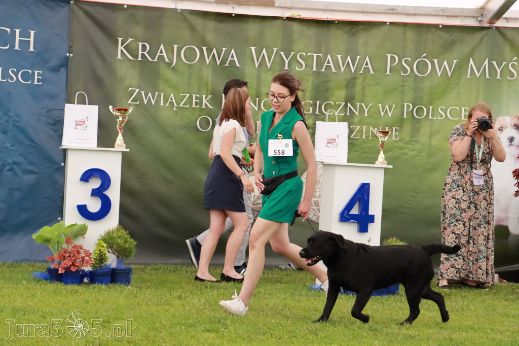 Wystawa Psów Rasowych w GNIAZDOWIE Konkurencje Finałowe
