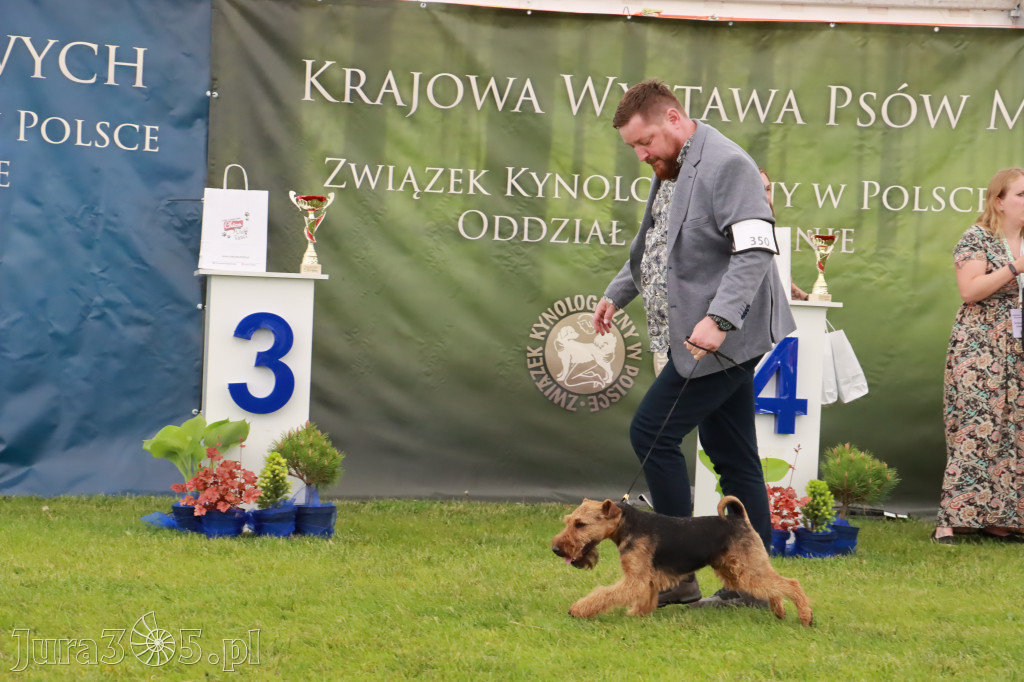 Wystawa Psów Rasowych w GNIAZDOWIE Konkurencje Finałowe