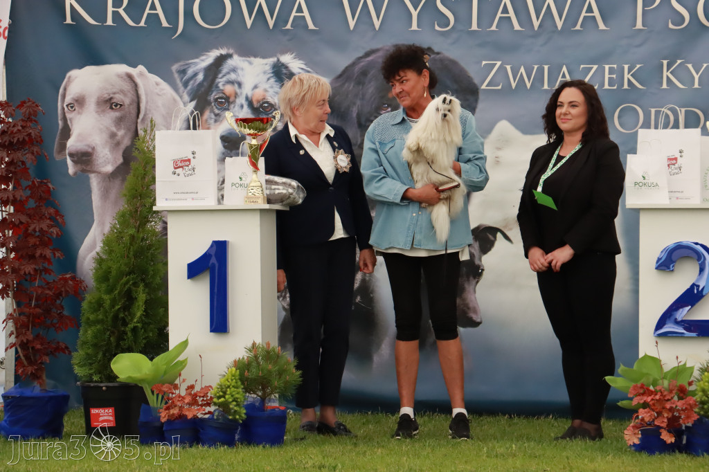 Wystawa Psów Rasowych w GNIAZDOWIE Konkurencje Finałowe