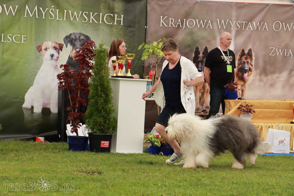 Wystawa Psów Rasowych w GNIAZDOWIE Konkurencje Finałowe