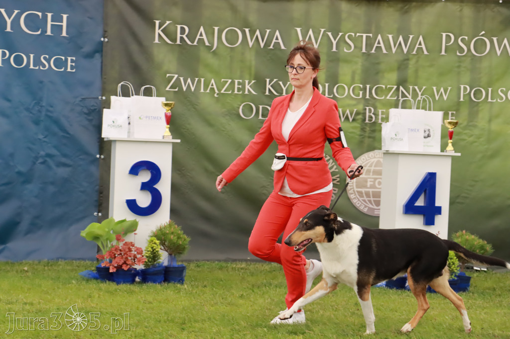 Wystawa Psów Rasowych w GNIAZDOWIE Konkurencje Finałowe