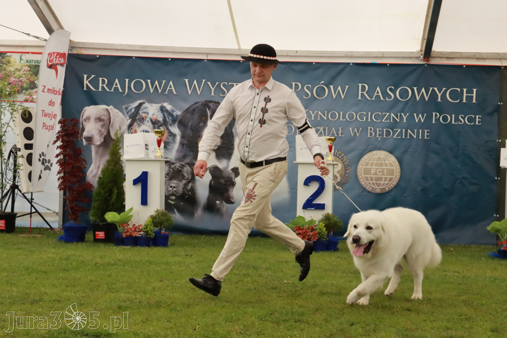 Wystawa Psów Rasowych w GNIAZDOWIE Konkurencje Finałowe