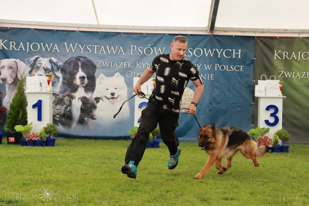 Wystawa Psów Rasowych w GNIAZDOWIE Konkurencje Finałowe