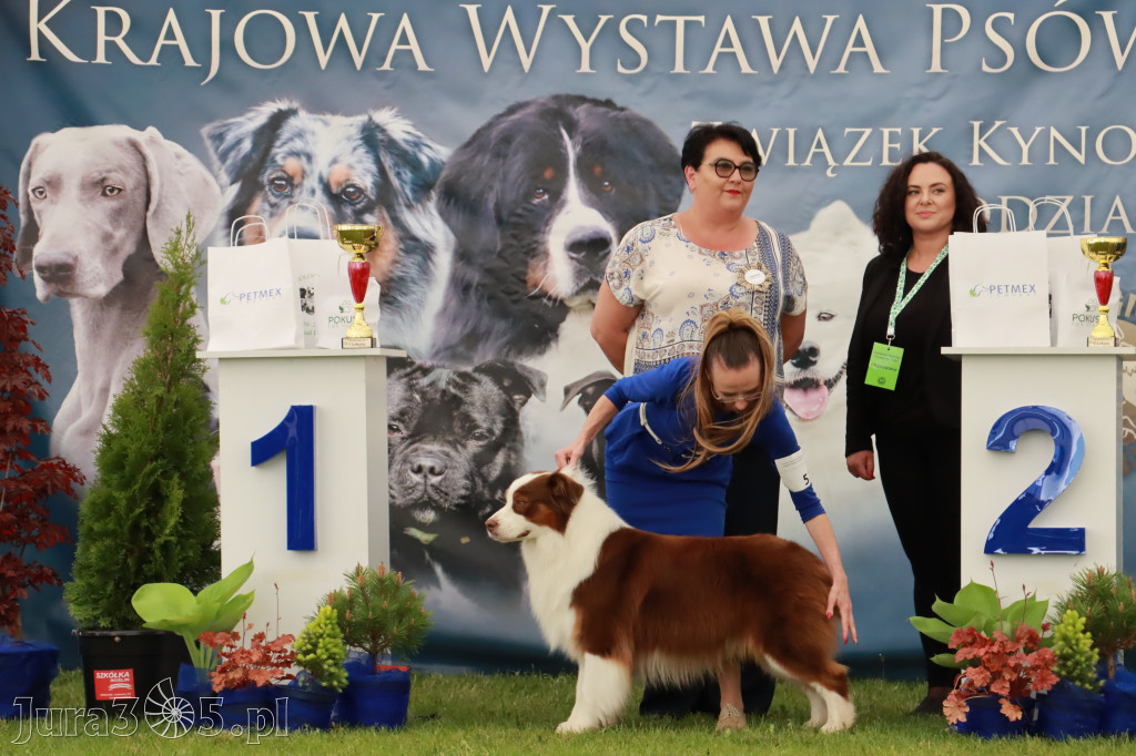 Wystawa Psów Rasowych w GNIAZDOWIE Konkurencje Finałowe