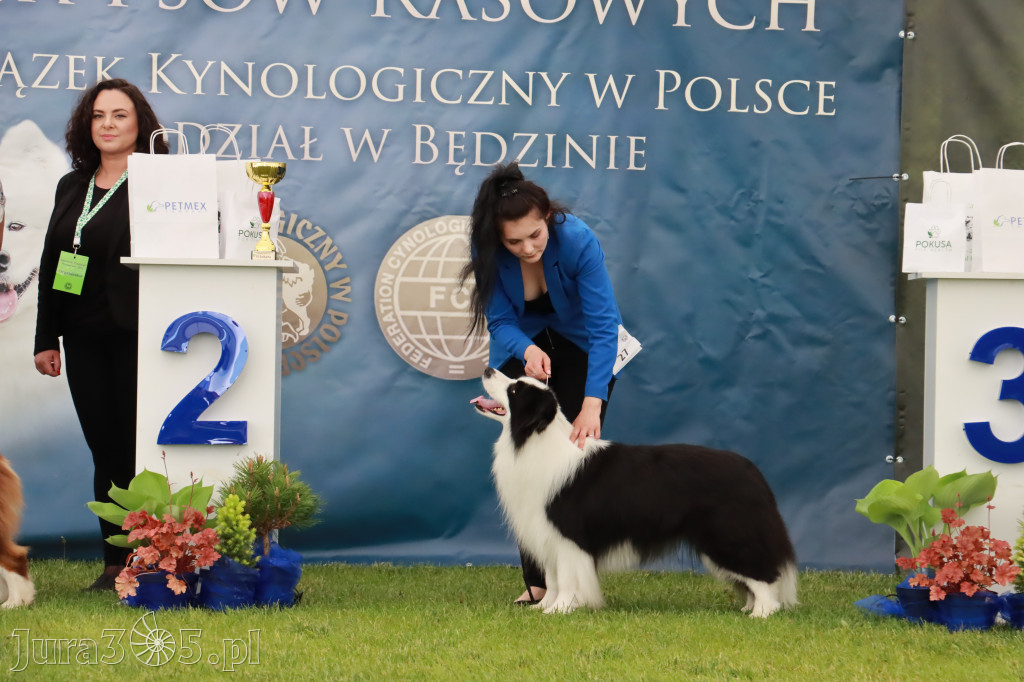Wystawa Psów Rasowych w GNIAZDOWIE Konkurencje Finałowe