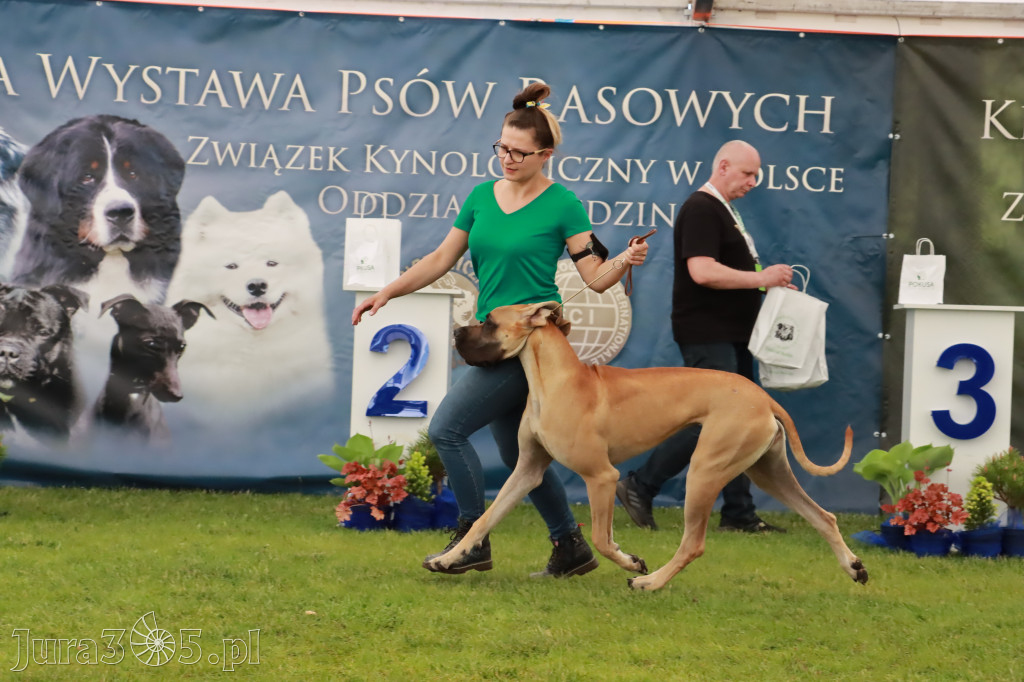 Wystawa Psów Rasowych w GNIAZDOWIE Konkurencje Finałowe