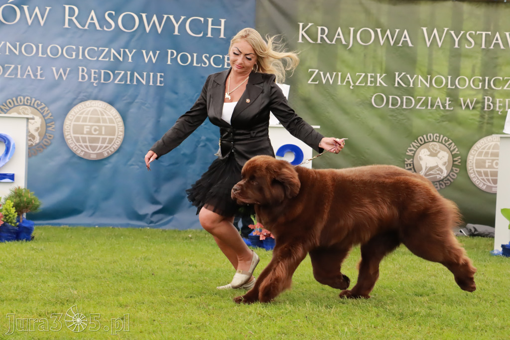Wystawa Psów Rasowych w GNIAZDOWIE Konkurencje Finałowe