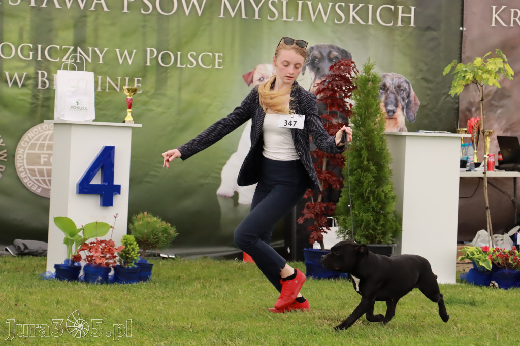 Wystawa Psów Rasowych w GNIAZDOWIE Konkurencje Finałowe