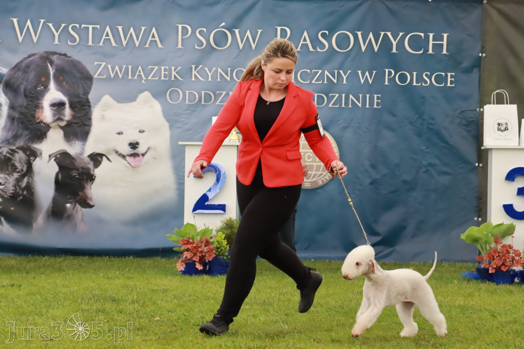 Wystawa Psów Rasowych w GNIAZDOWIE Konkurencje Finałowe