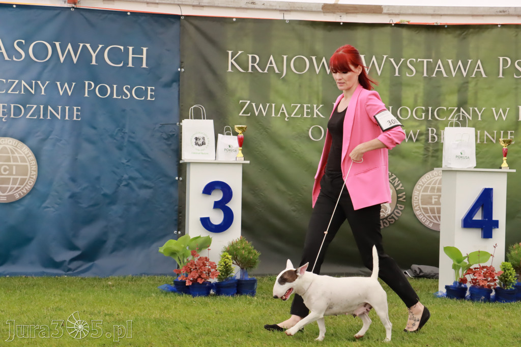 Wystawa Psów Rasowych w GNIAZDOWIE Konkurencje Finałowe