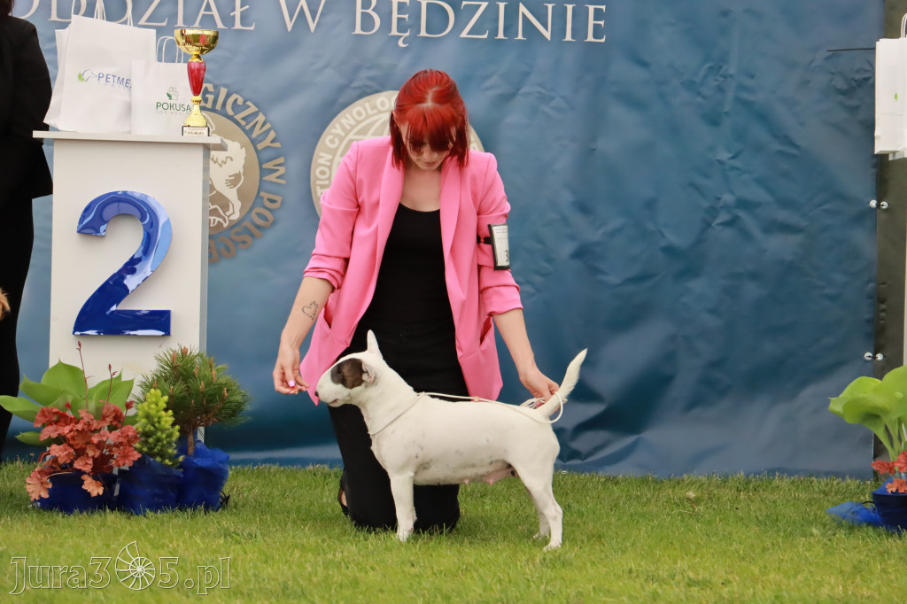 Wystawa Psów Rasowych w GNIAZDOWIE Konkurencje Finałowe