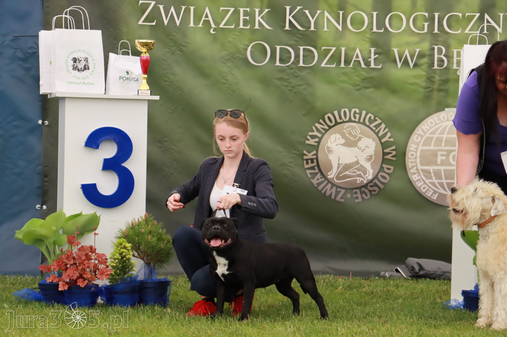 Wystawa Psów Rasowych w GNIAZDOWIE Konkurencje Finałowe